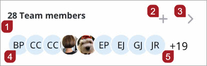 Project home page team members widget
